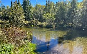 Sleeping Bear Riverside Cabins